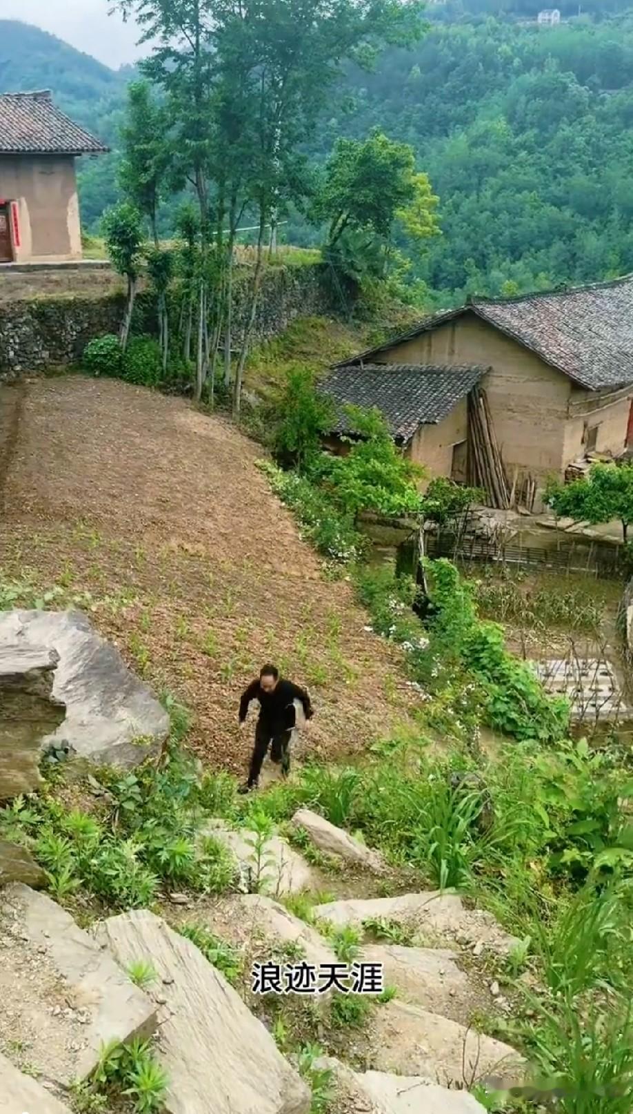 每天生活分享