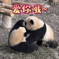 聊天必备表情包第694弹黑白小丸子​​​（拿图吱声）​​​