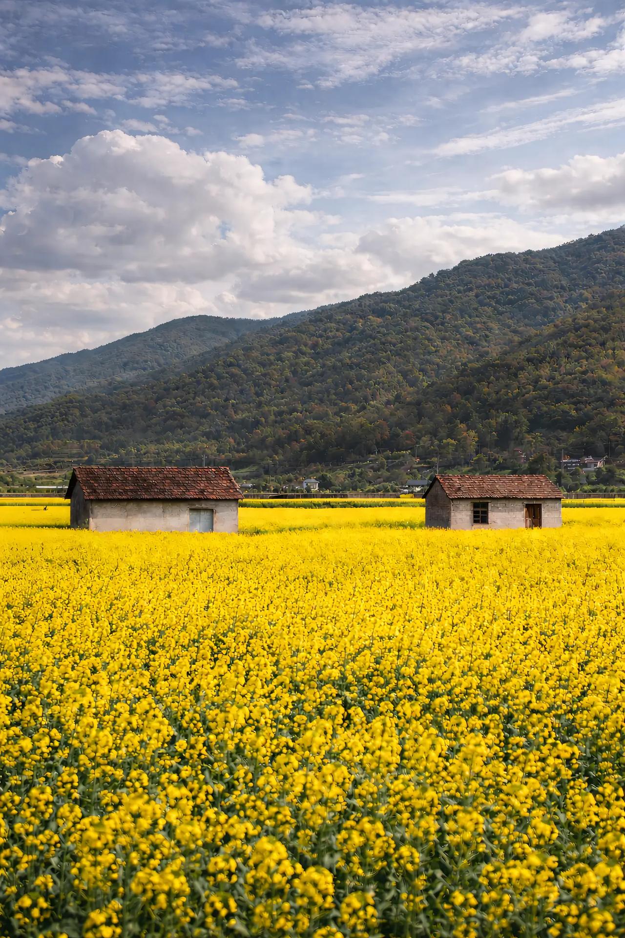 中考和高考对年轻人来说还是非常公平的，我记得在很久以前，如果你想上好一点的高中，