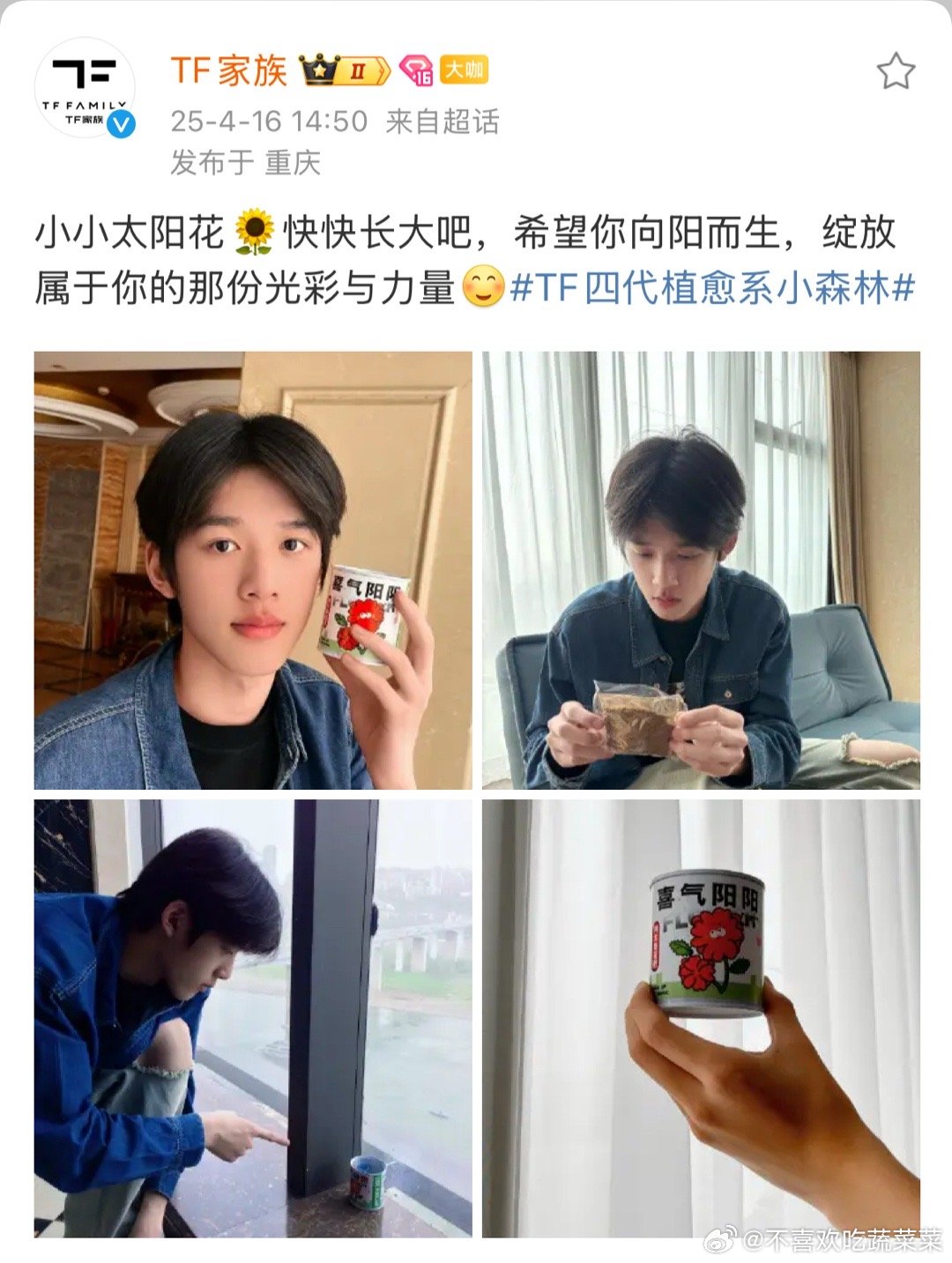 官俊臣种太阳花？​​​