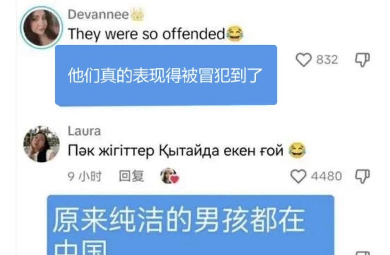 诬陷路人为小偷，大街上随意触摸异性，还美其名曰是为了测试中国人，这样的外国不良网