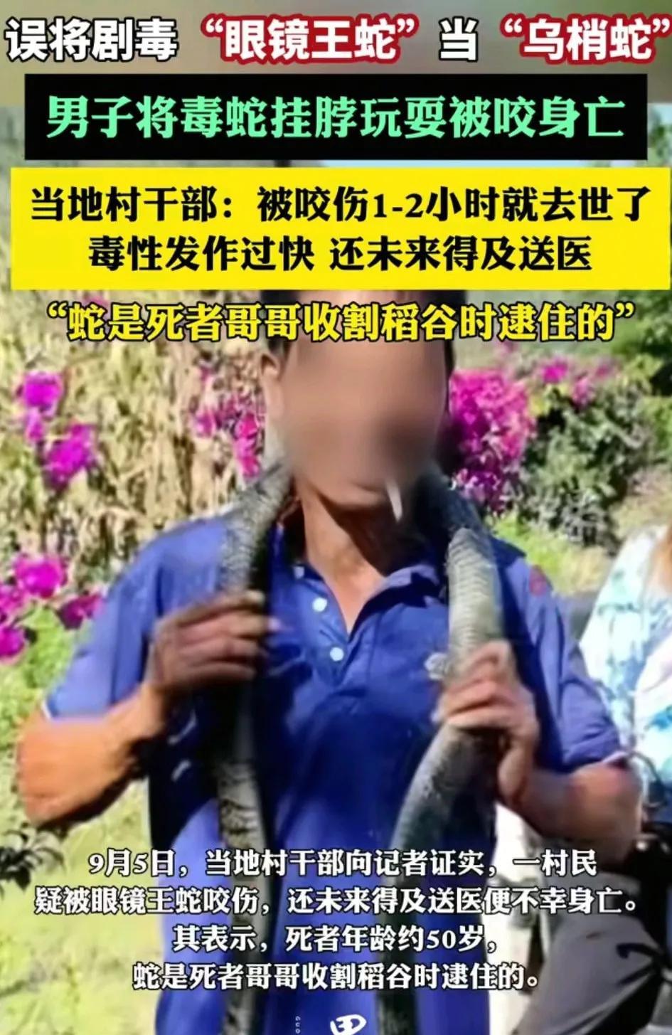 这是谁的部将，太猛了。把眼镜王蛇当成无毒蛇，不仅拿在手上把玩，还挂到脖子上耍帅