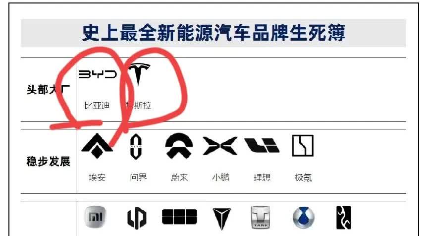 2018年比亚迪销量50万，特斯拉销量24.5万辆。2019年比亚迪销量45