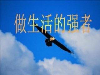 人生低谷别怕，精神强悍才是真正的“硬核”！——逆风翻盘的终极秘籍大家好，我是