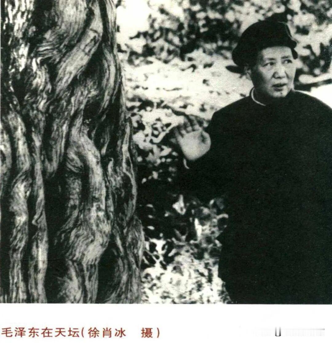 伟人风采012