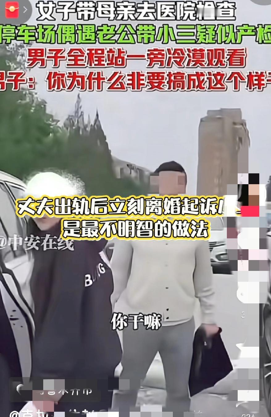 不止上海人在扒甚至全国网友都在扒的瓜！红圈所这波算是被自家律师坑惨了，君合怕