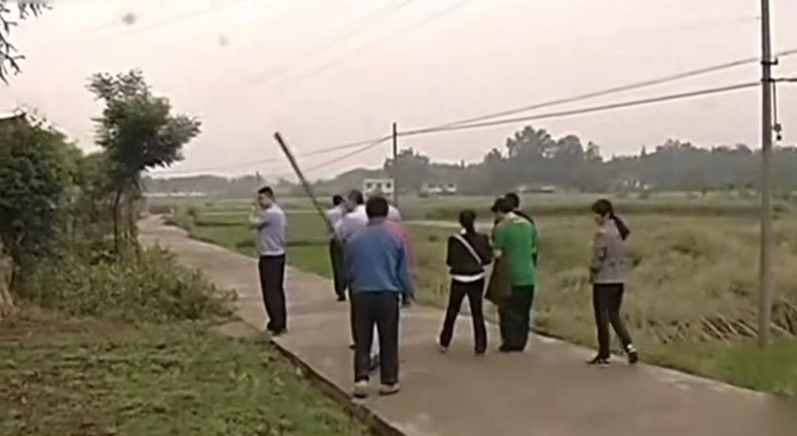 很多人都忘了，十四年前曾发生过一次民间灭狗行动，三天时间，一个村700多只狗被全