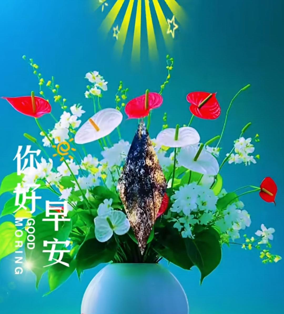 時光荏苒載友情，頭條交流有慰情，問候添加是真情，祝福溫暖好心情。新的一天