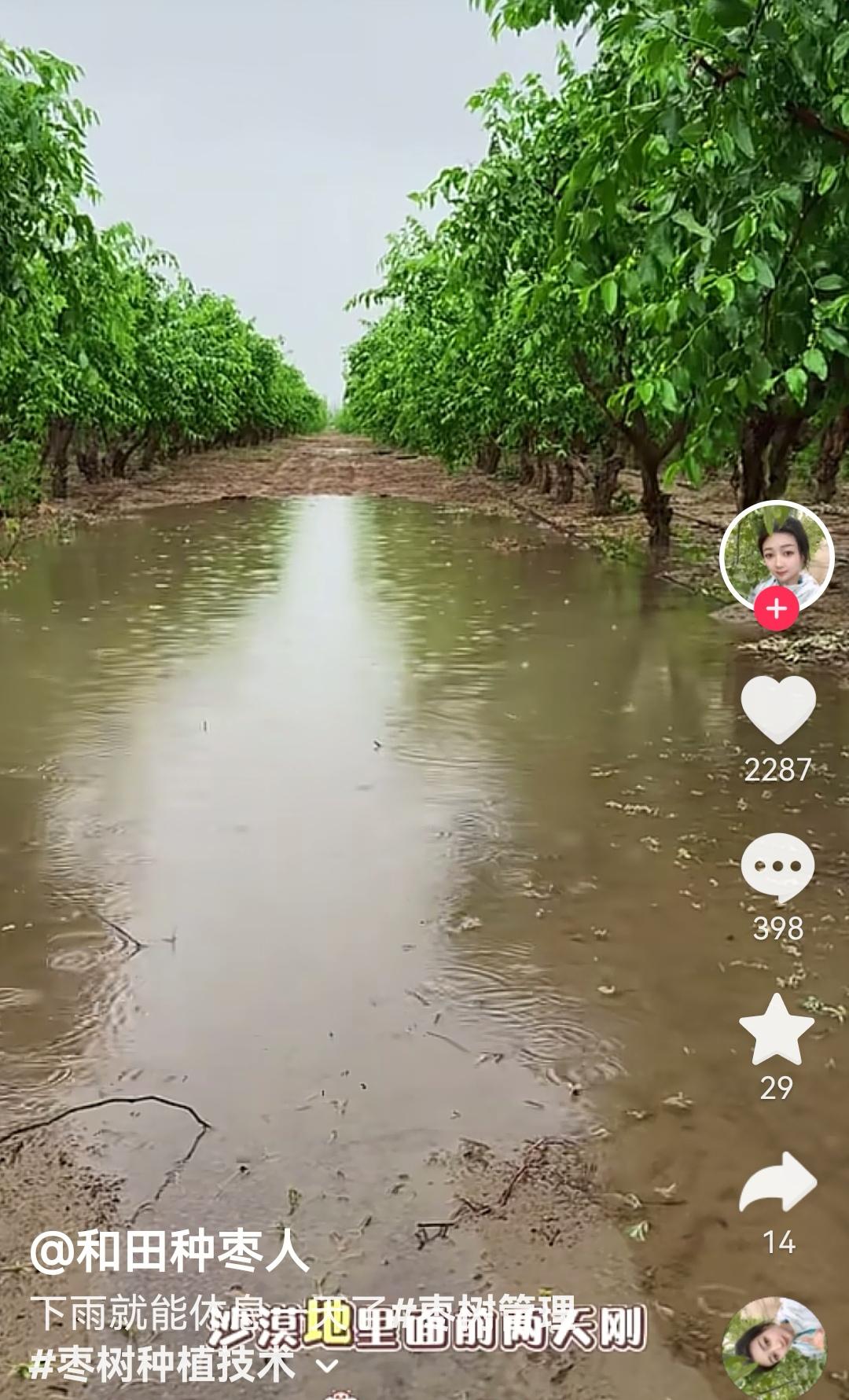 新疆的沙漠也是好起来了，这两天连续下雨，让塔克拉玛干沙漠南边很多地方都开始积水了