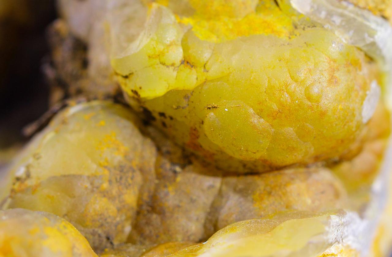 中老年人头抖、手抖，根本原因是阴虚风动，一剂“定风珠”，熄风抖停 很多中老年