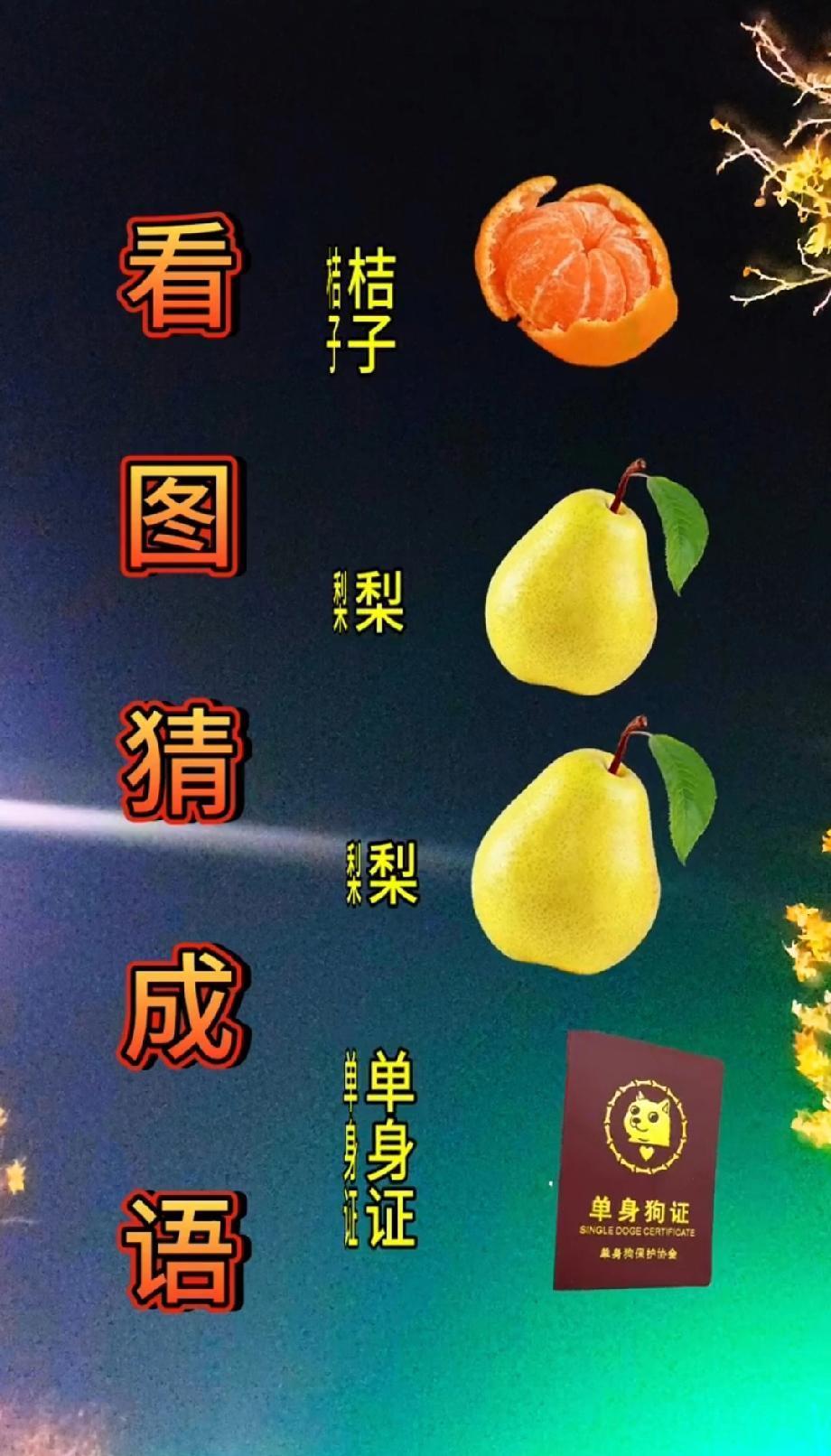 离谱！看图猜成语给了“桔子、梨、单身证”，评论区吵到要绝交，到底是啥？