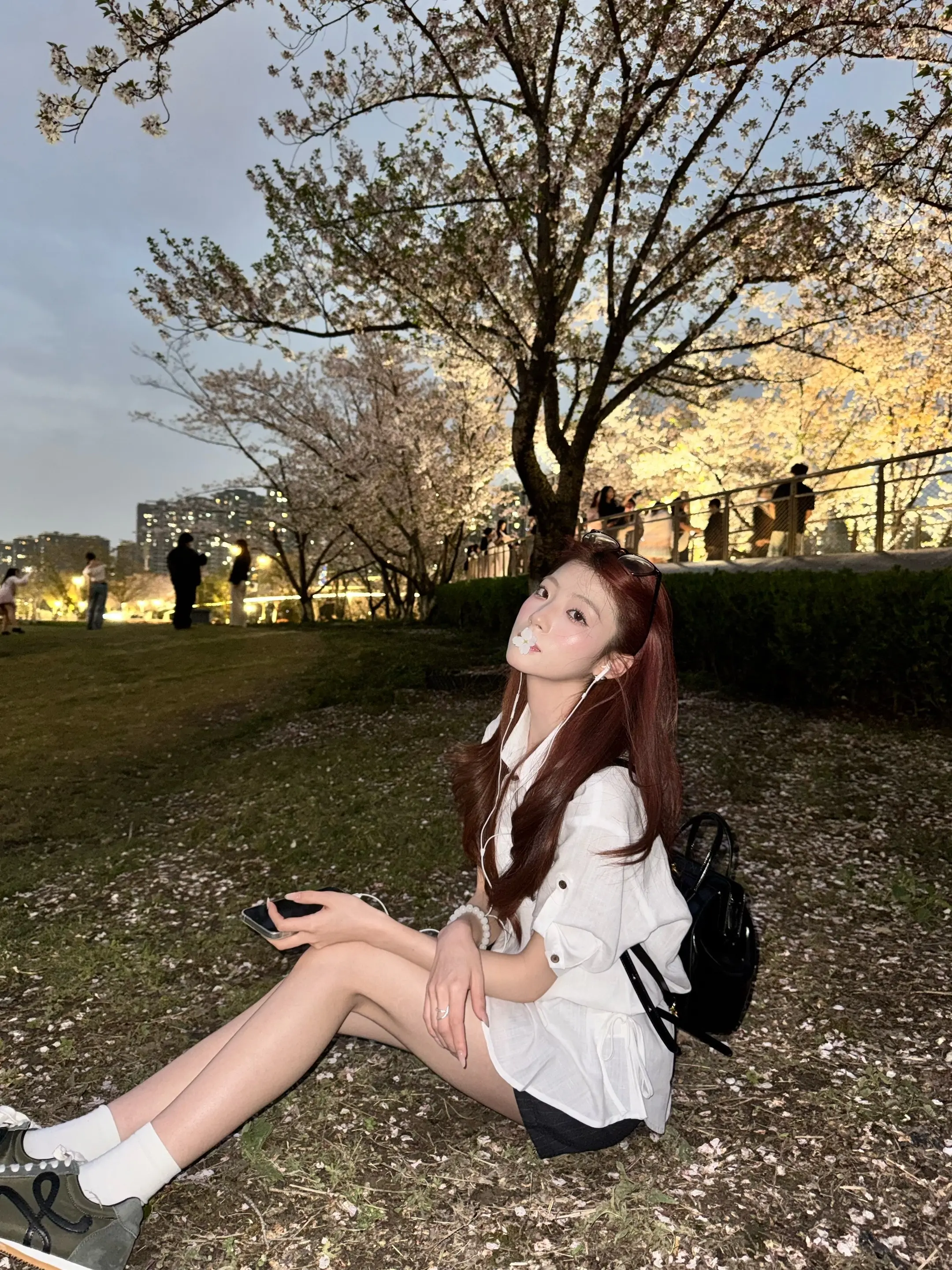 樱花下落时 一定有人正在变得幸福