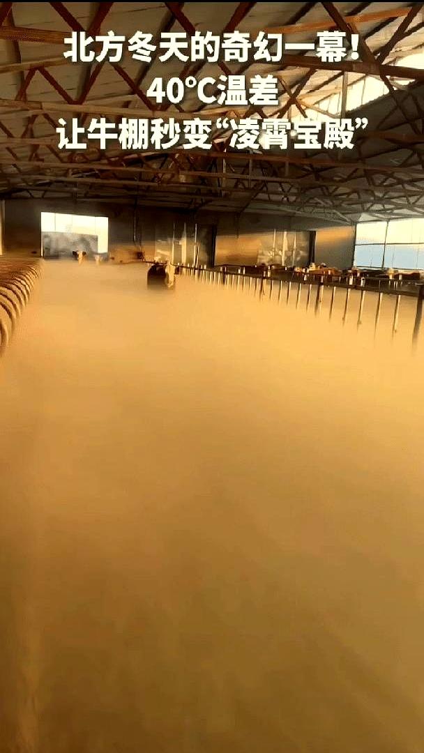 里外足足差了40度，这哪是牛棚，分明是玉皇大帝的“凌霄宝殿”。内蒙古锡林郭勒的