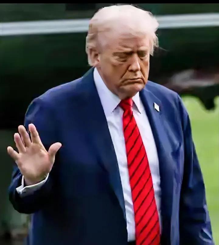 这场仗打完，全世界都该感谢特朗普——终于把美国这根中东最大搅屎棍给耗干了！