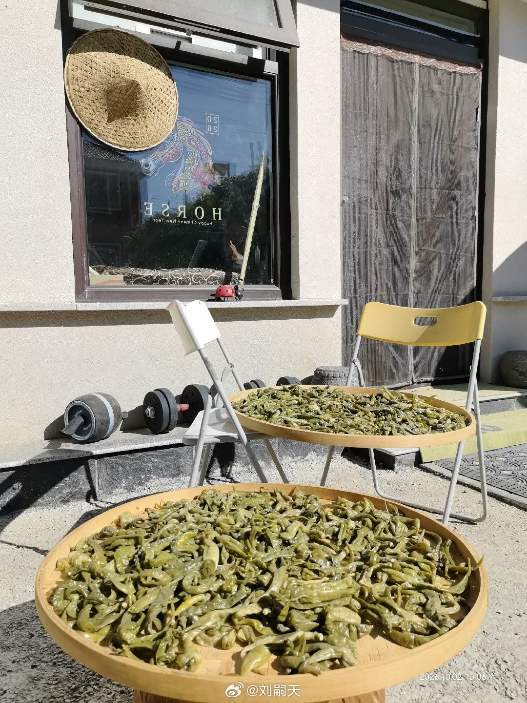 京郊小院，十一独自闹中求静。自制白辣椒与芋荷子，童年的味道扑鼻而来。如果不是来自南方的人，可能很难有