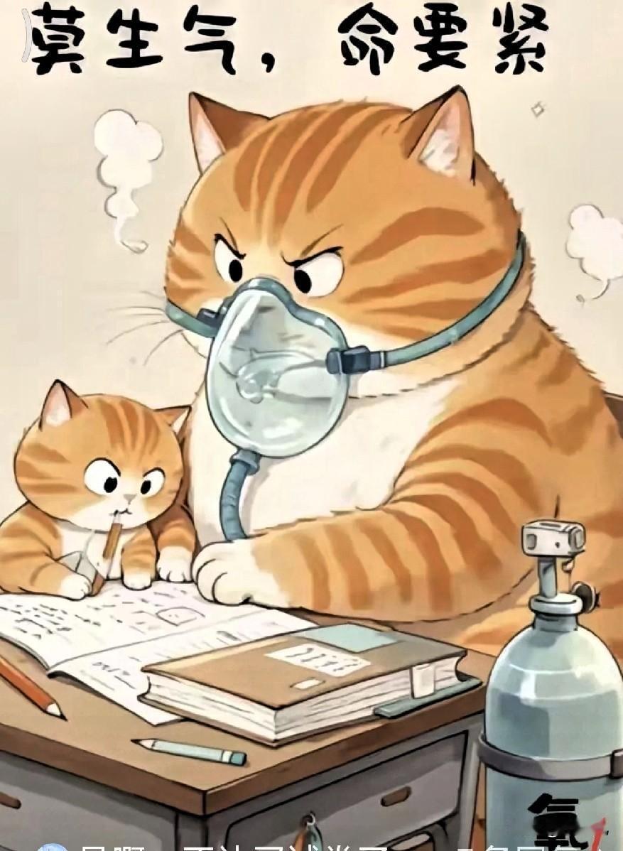 12月17号教育部发布通知，中小学考试制度大变革，以后学校不能随意购买试卷，必须