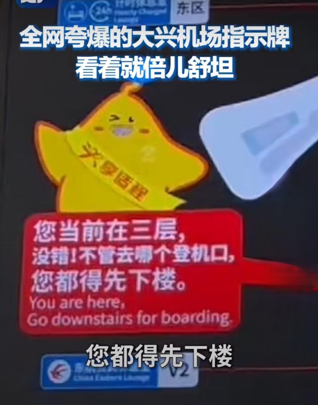 大兴机场指路牌火了！京腔“絮叨体”爆红网络，网友：好玩又实用“顺着这儿一直走