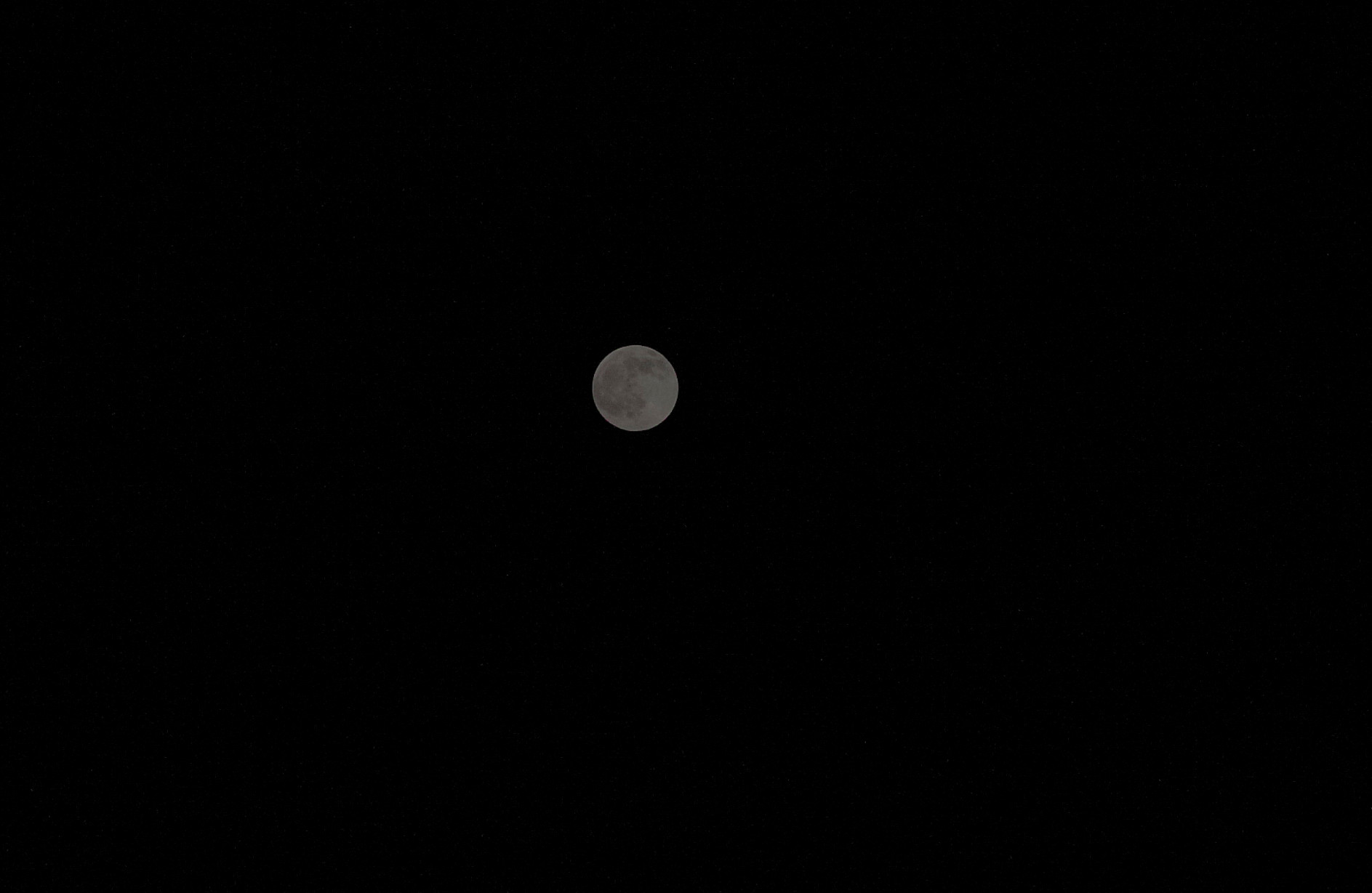 今晚的月亮好圆吖​​​