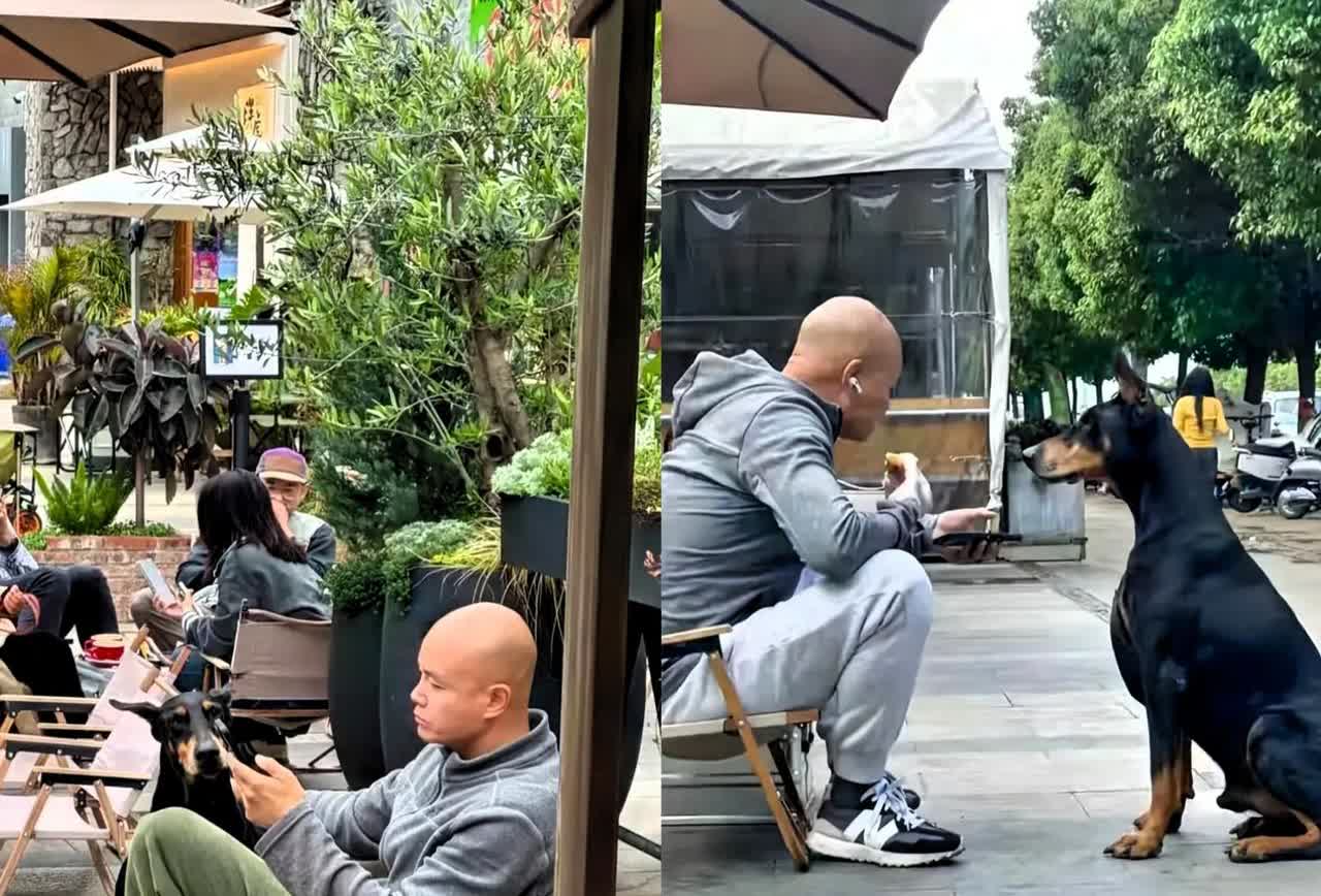 很久没有看见他露面了听说现在定居在云南当年那么火后来是为啥销声匿迹了呢？