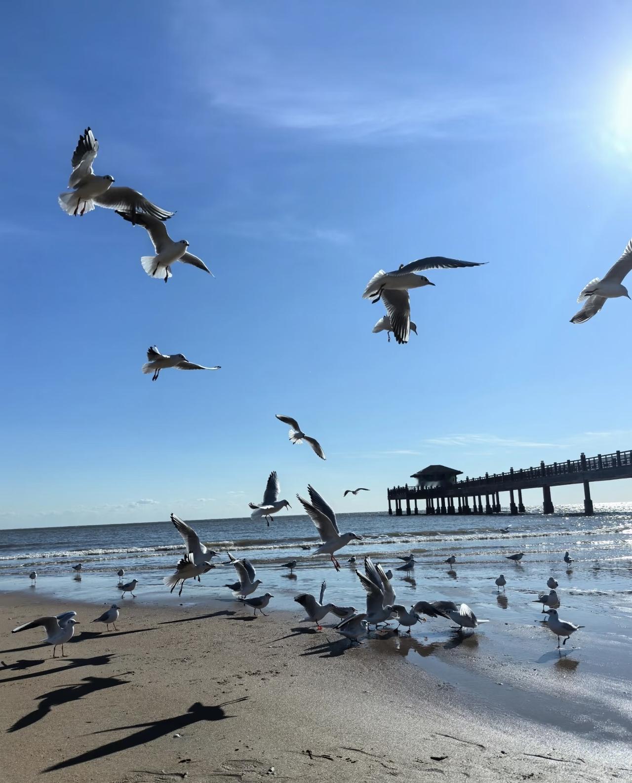 台湾电视节目对大陆的军力分析挺有意思的，说2000年的时候，台湾光靠自己就能打赢