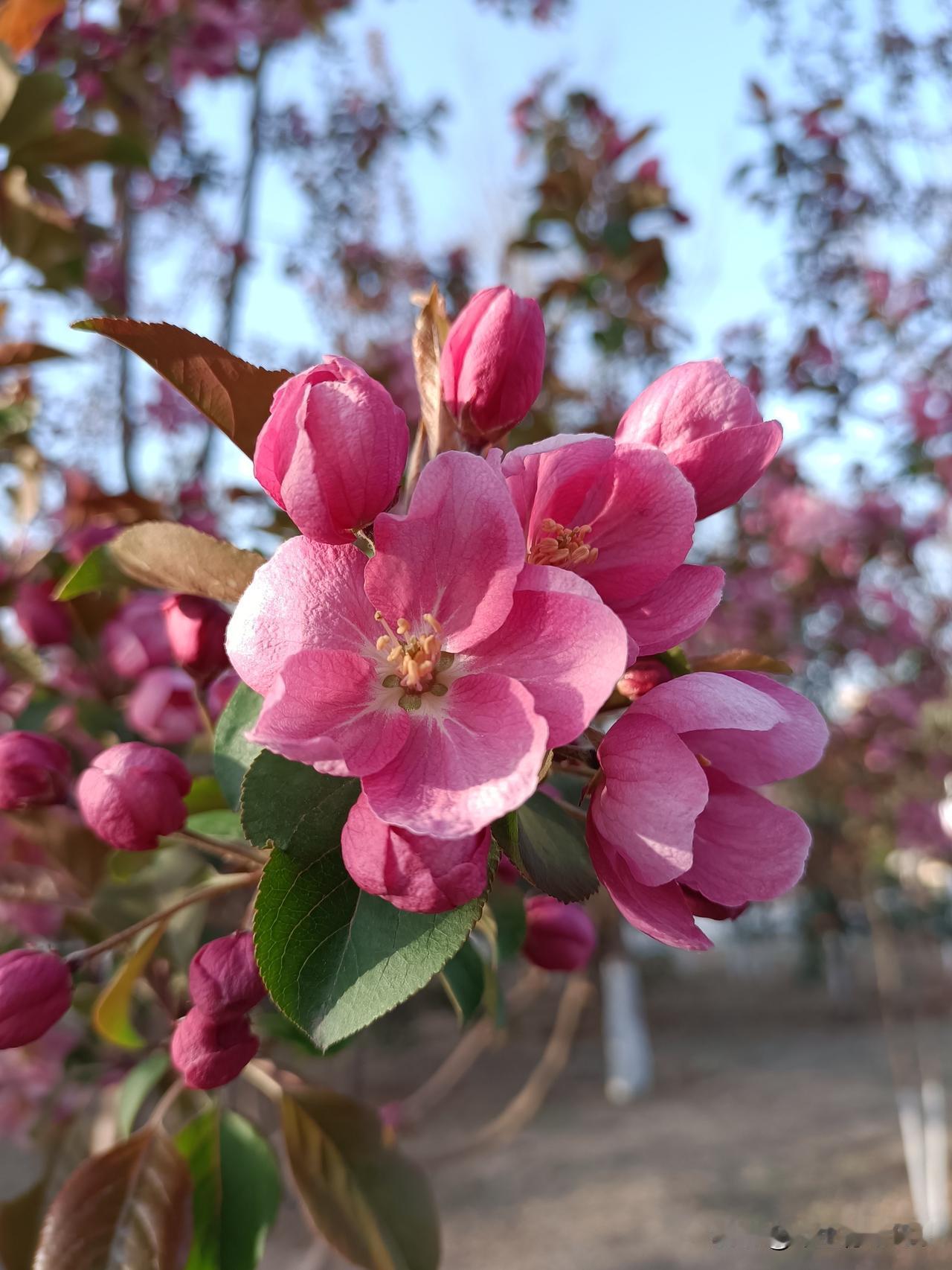 致朋友：愿余生皆甜，万事顺意祝福我的朋友们：往后余生，无风无雨也无忧，