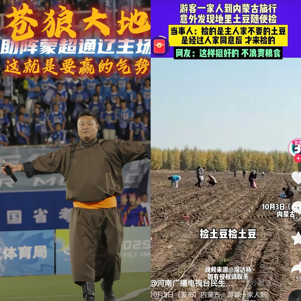 内蒙古这家人太暖了！游客路边捡土豆，主人家直接抱来一摞塑料袋：“随便装！”李