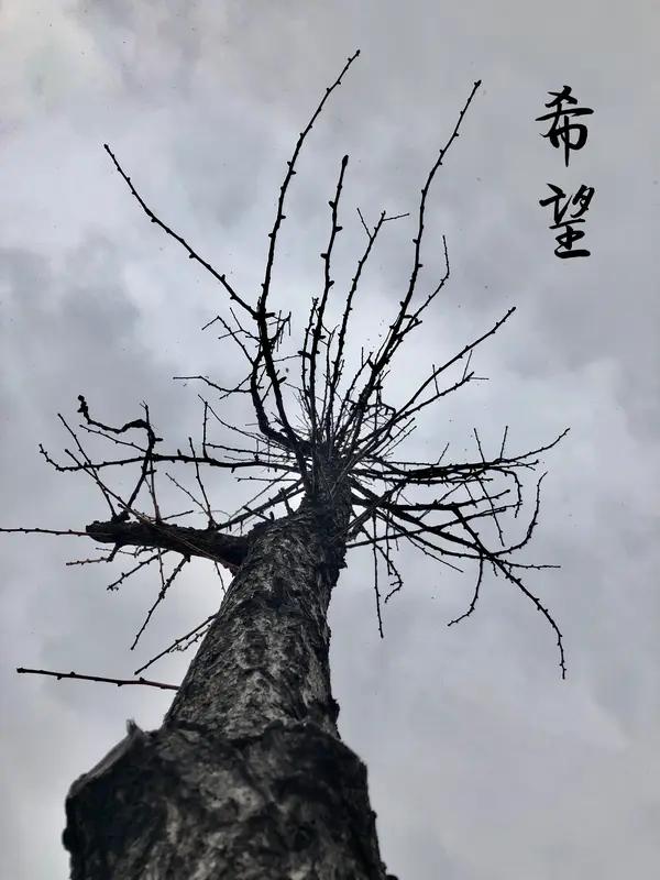 如果命苦是一种天赋，那这天赋也太让人无奈了。就像有些人，努力工作却总是遭遇各种挫