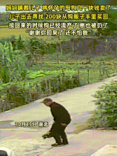 “最亲的人，伤人最深！”湖北，小伙一觉醒来，发现养了很久的怀孕母狗没了踪影，调