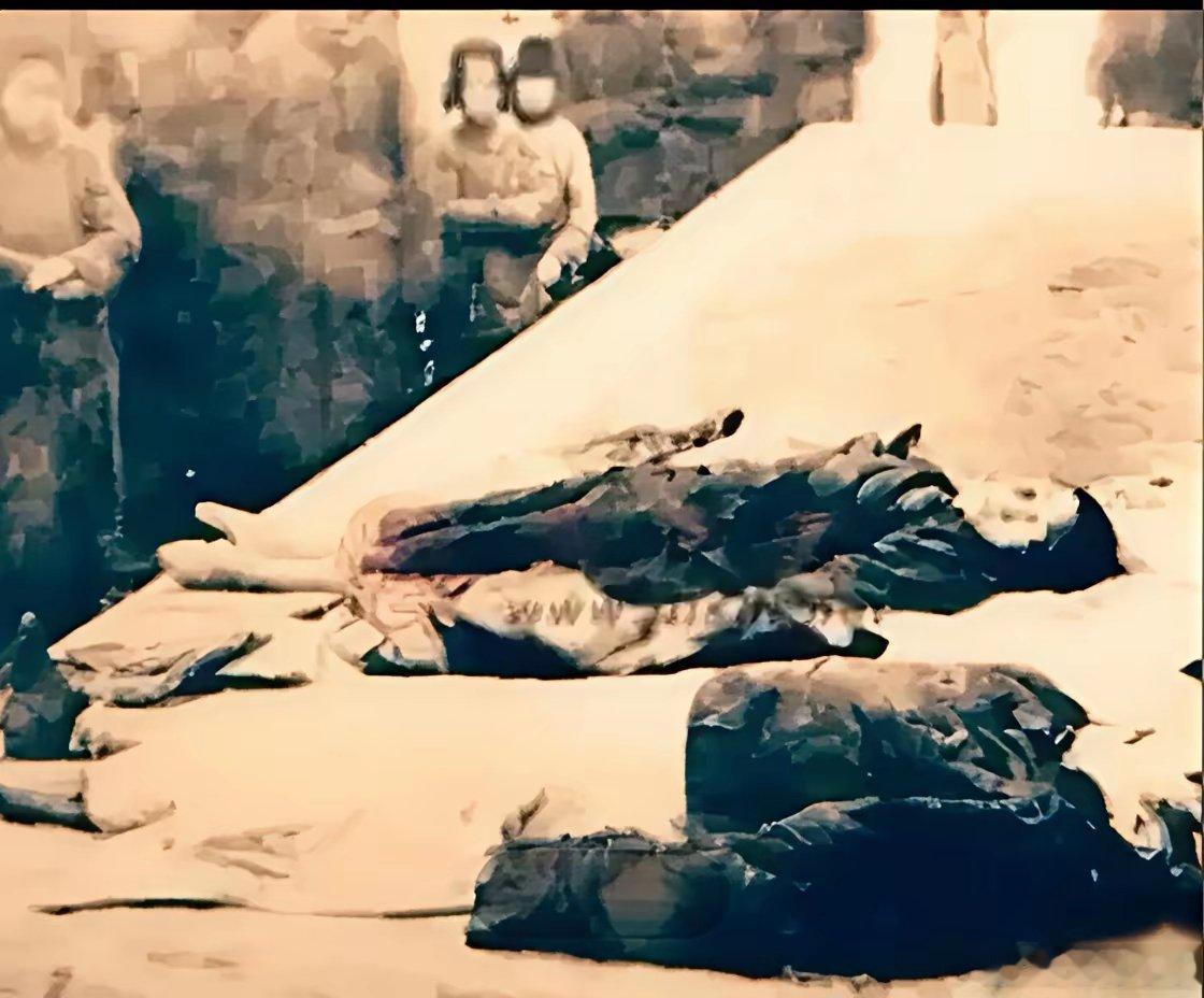 1925年，42岁的郭松龄遭张作霖处决。张作霖余怒未消，将郭松龄夫妇尸体丢到草席