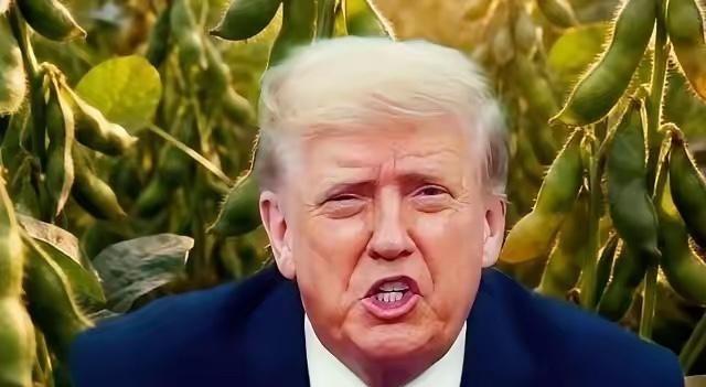 万一阿根廷，美国，巴西三国大豆全部涨价，中国怎么办？如果阿根廷、美国、巴西三大