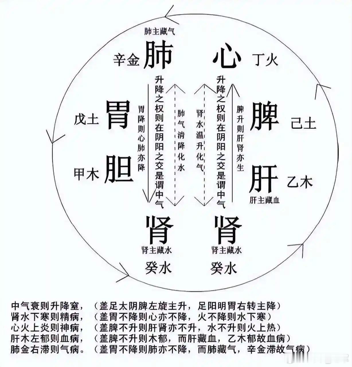 血之源头在乎肾，气之源头在乎脾：中医生命观的双重根基中医经典有云：“血之源头在乎