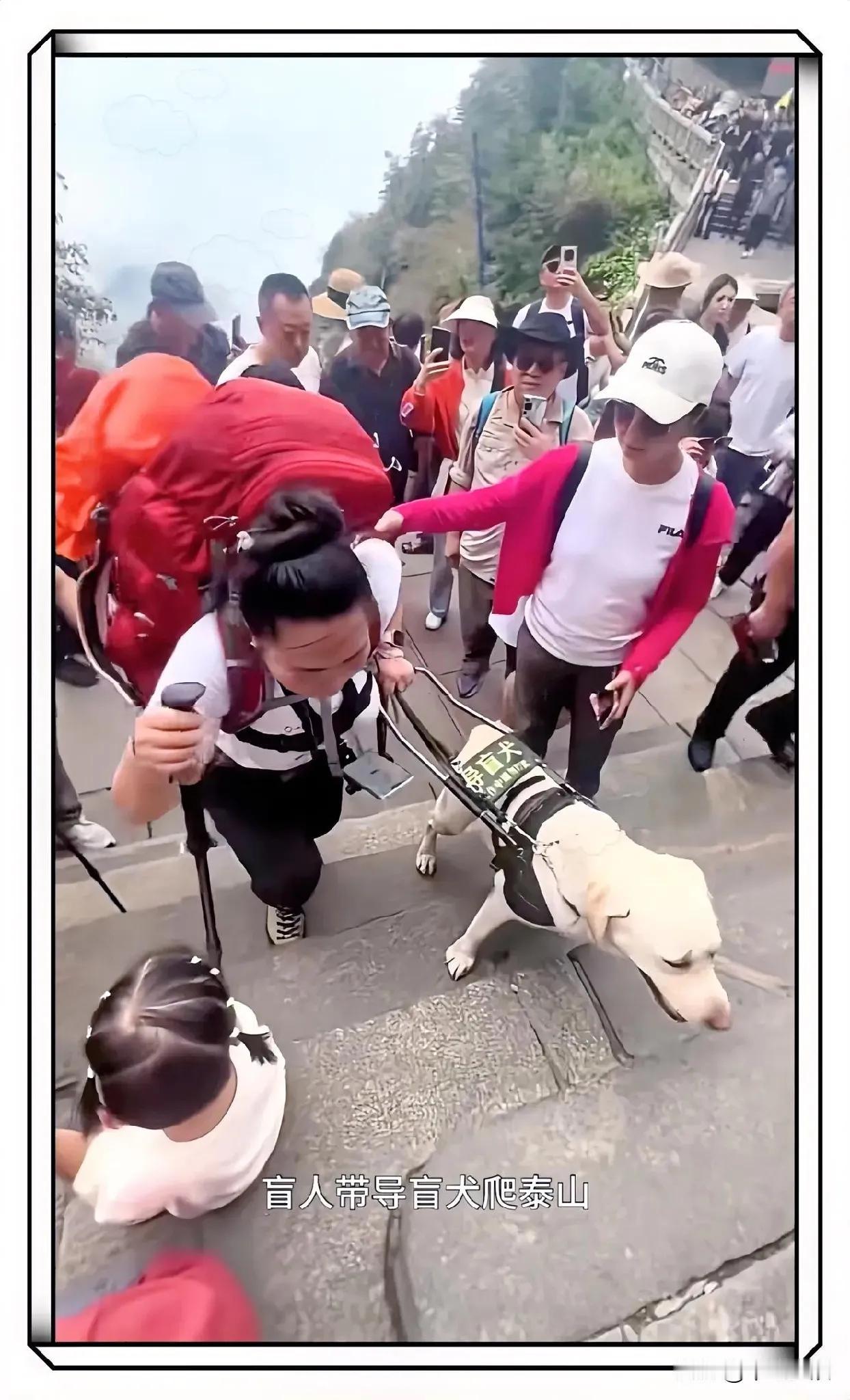 不查不知道，一查才惊着，原来王女士带着芬迪，不光爬了泰山，香山、香炉峰、长城全去