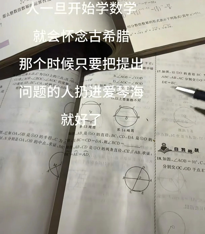 万恶的数学人一旦开始学习就会怀念古代