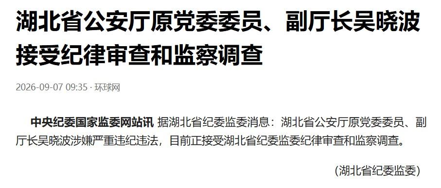 这是一只公安战线上的准老虎。虽然只是厅级干部，但吴晓波不仅担任过咸宁市政府的副市