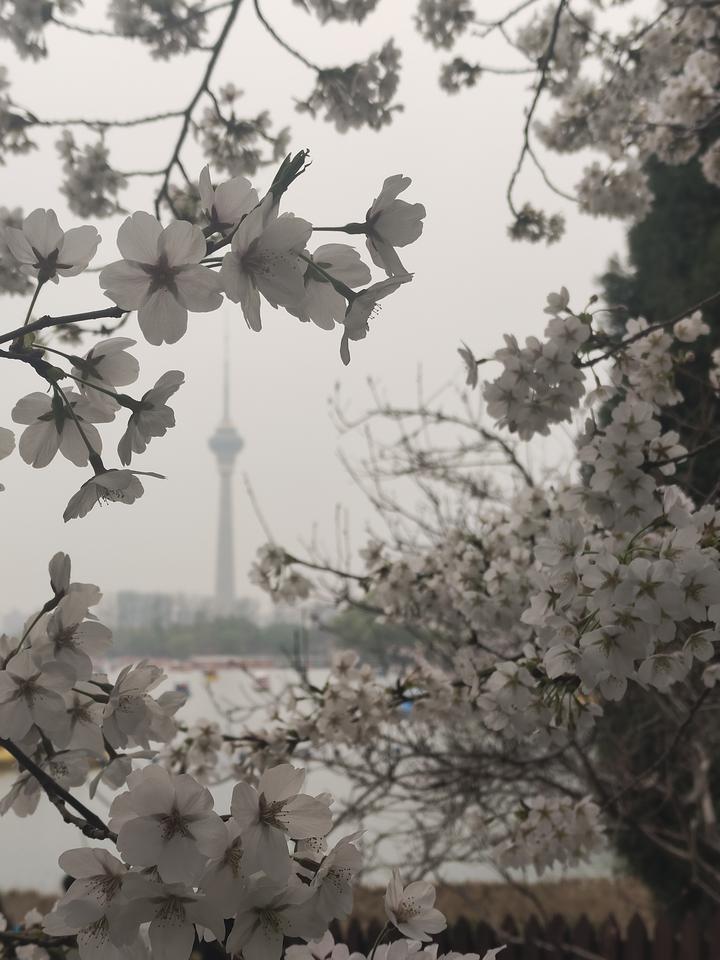 走过半生才懂：向内修行，才是生命顶配人这一生，究竟该向外追逐风景，还是向内