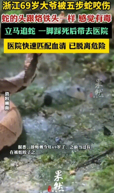 浙江，一位69岁大爷在菜地里摘菜，突然感觉手被扎了一下，然后就看见有条蛇跑了，大