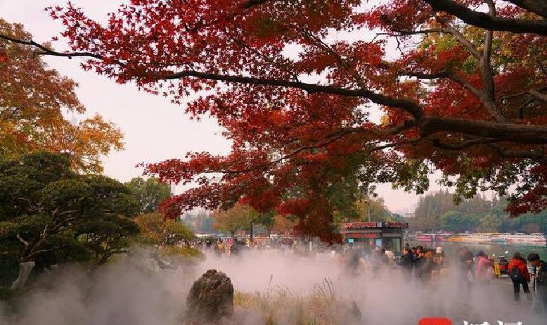 南京的冬天一到，玄武湖就跟变了样似的，早晨起来雾气直往上冒，那红彤彤的枫叶藏在白