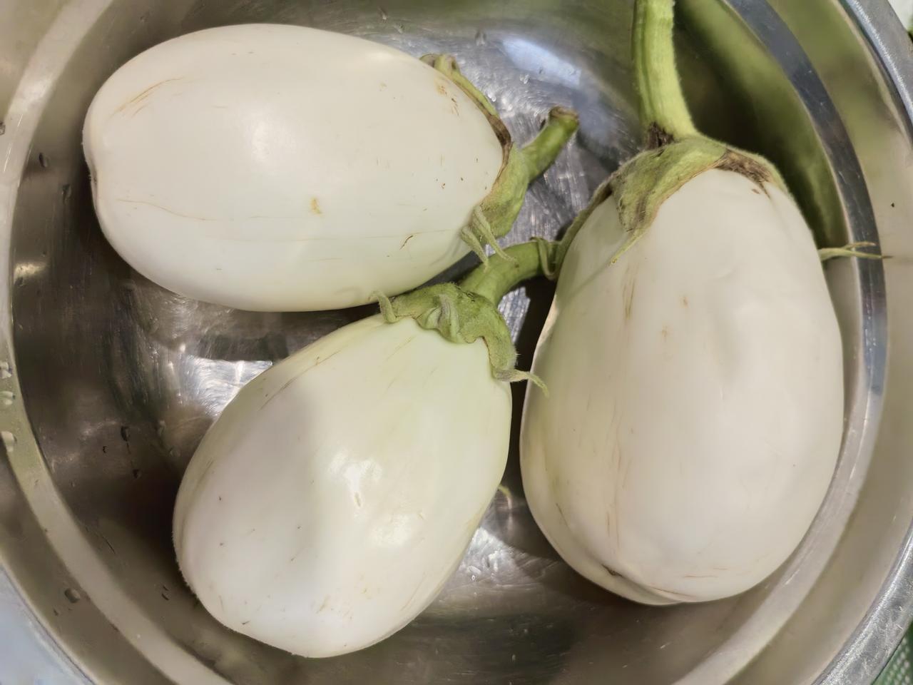 长得像瓜，其实是茄子。你见过吗？吃过白茄子吗？我自己育的茄子苗，长了三个白茄