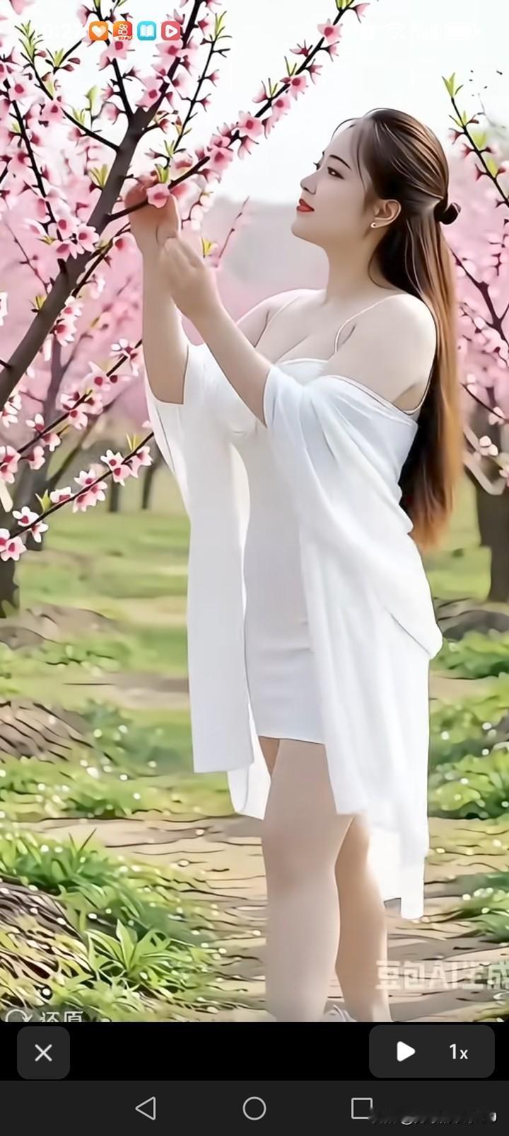 整理手机相册时，发现里面十张有九张都是花花草草。从春到夏，梅花、樱花、杜鹃、萱草