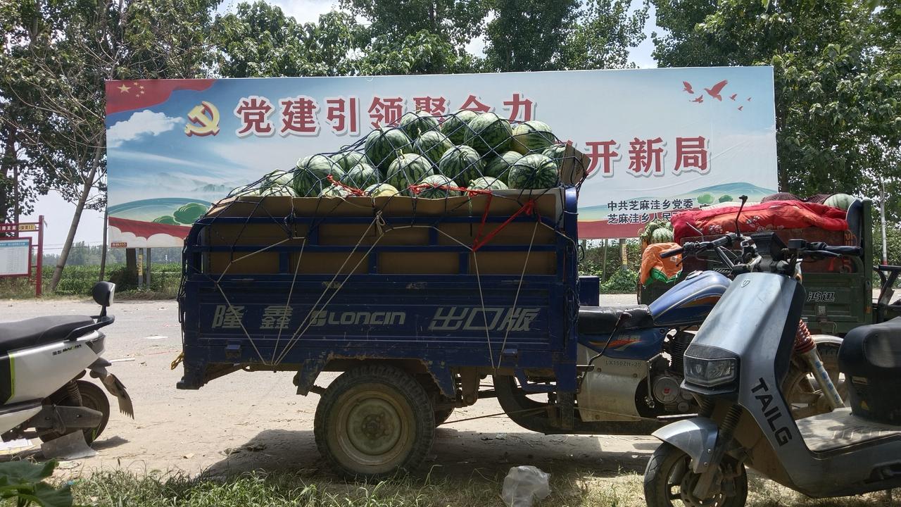 今天是7月12日，为了卖大瓜，瓜农真拼了，做出了一个大胆的举动，代办笑了。正