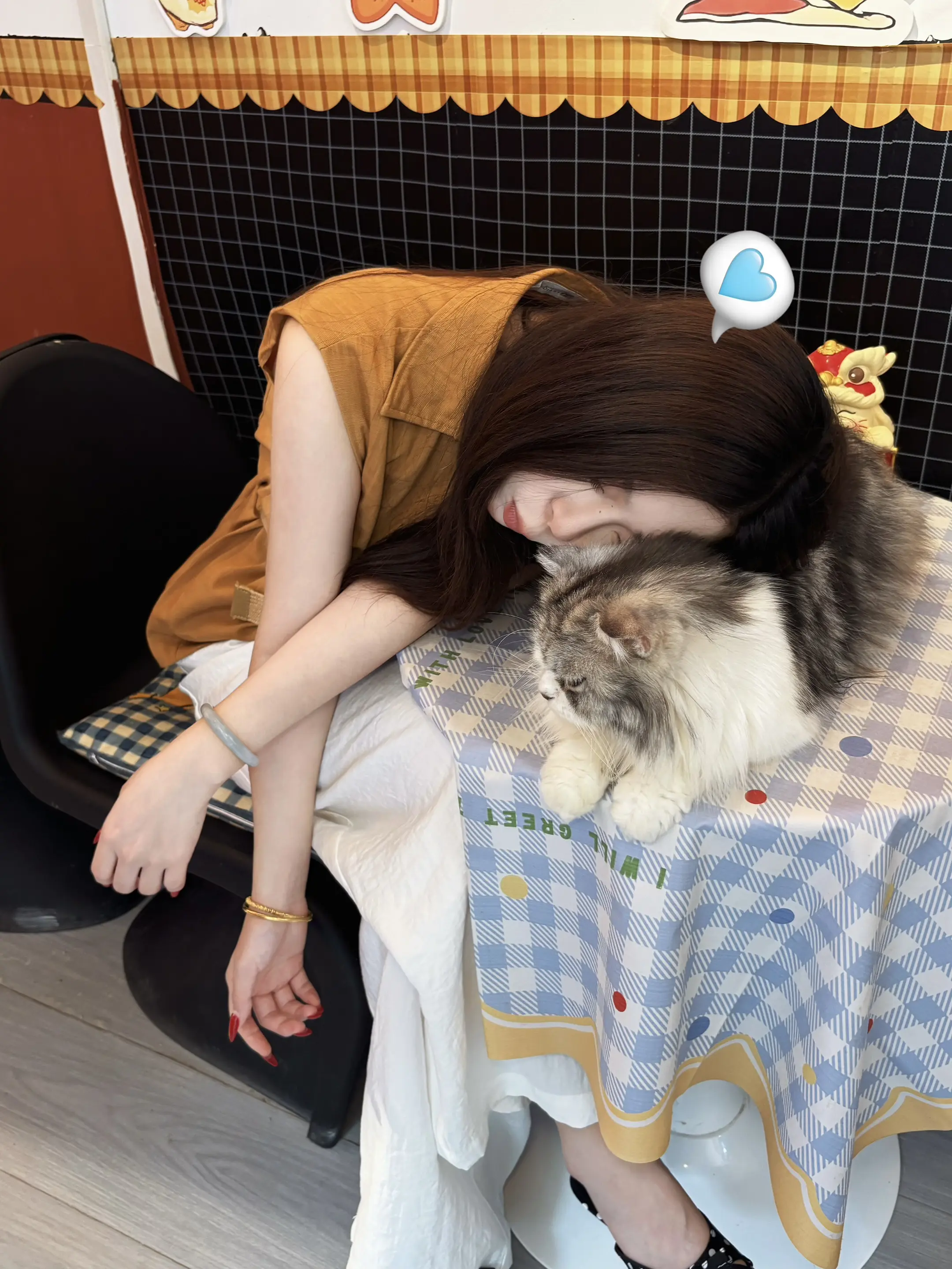 猫猫啊 人只想躺在你怀里