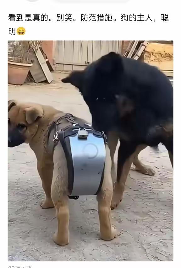 好家伙，这是真的严防死守了[捂脸哭]