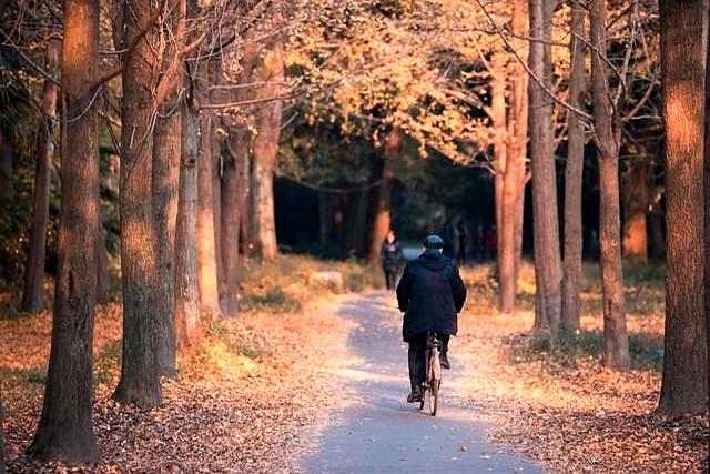 看到个“重磅”消息，说是1月起全国统一行动，老人只要卡住那3个条件，每月几百块补
