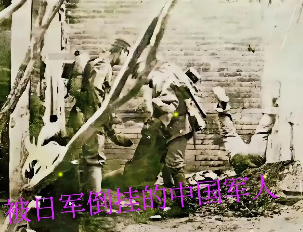 看到这样的画面，后背瞬间发凉，心也跟着揪成一团。这哪是战争？分明是灭绝人性的虐杀