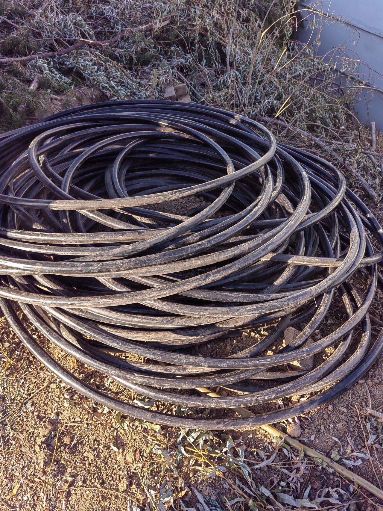 货车司机的这句话把我逗乐了，他说一大晚上通火通明竟然电线没有了，说完这话我愣了一