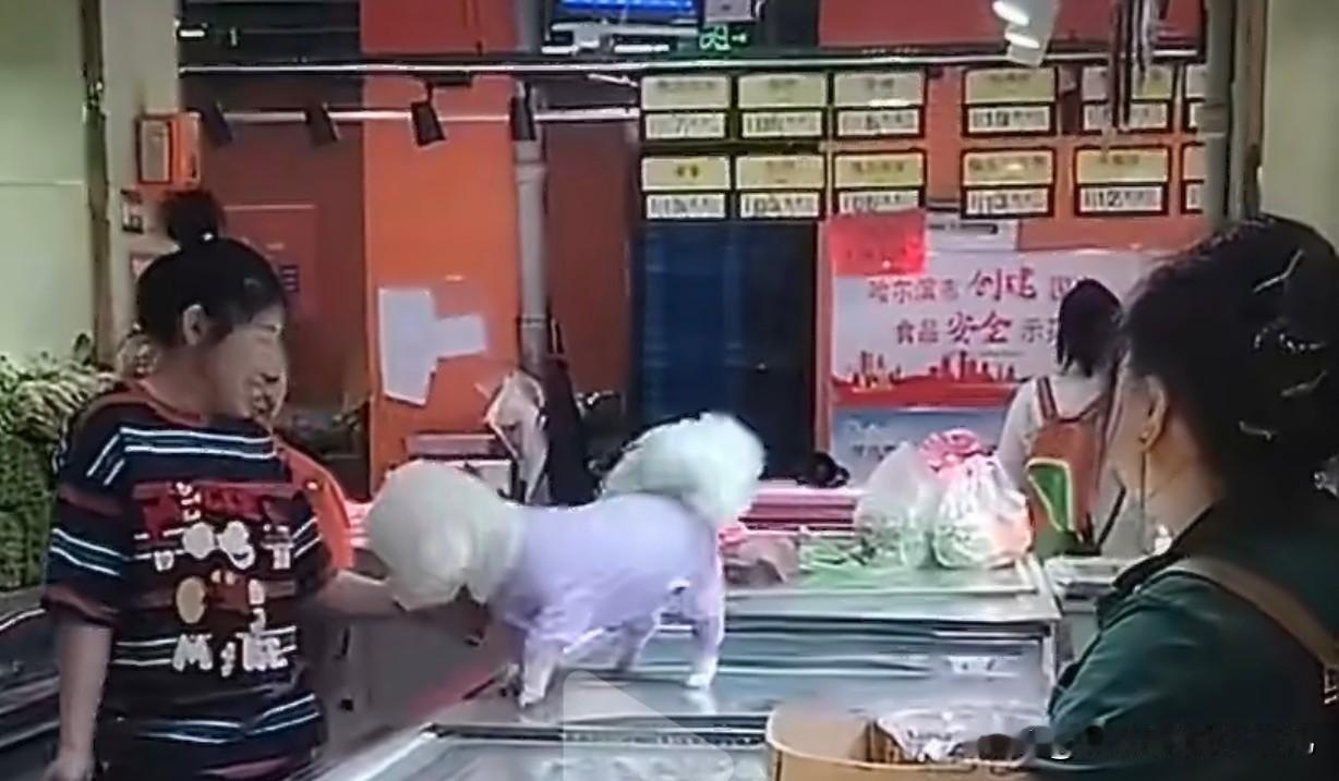 远处的标语：“哈尔滨市创建国家食品安全示范城市”，讽刺不？哈尔滨市南直商场，悦