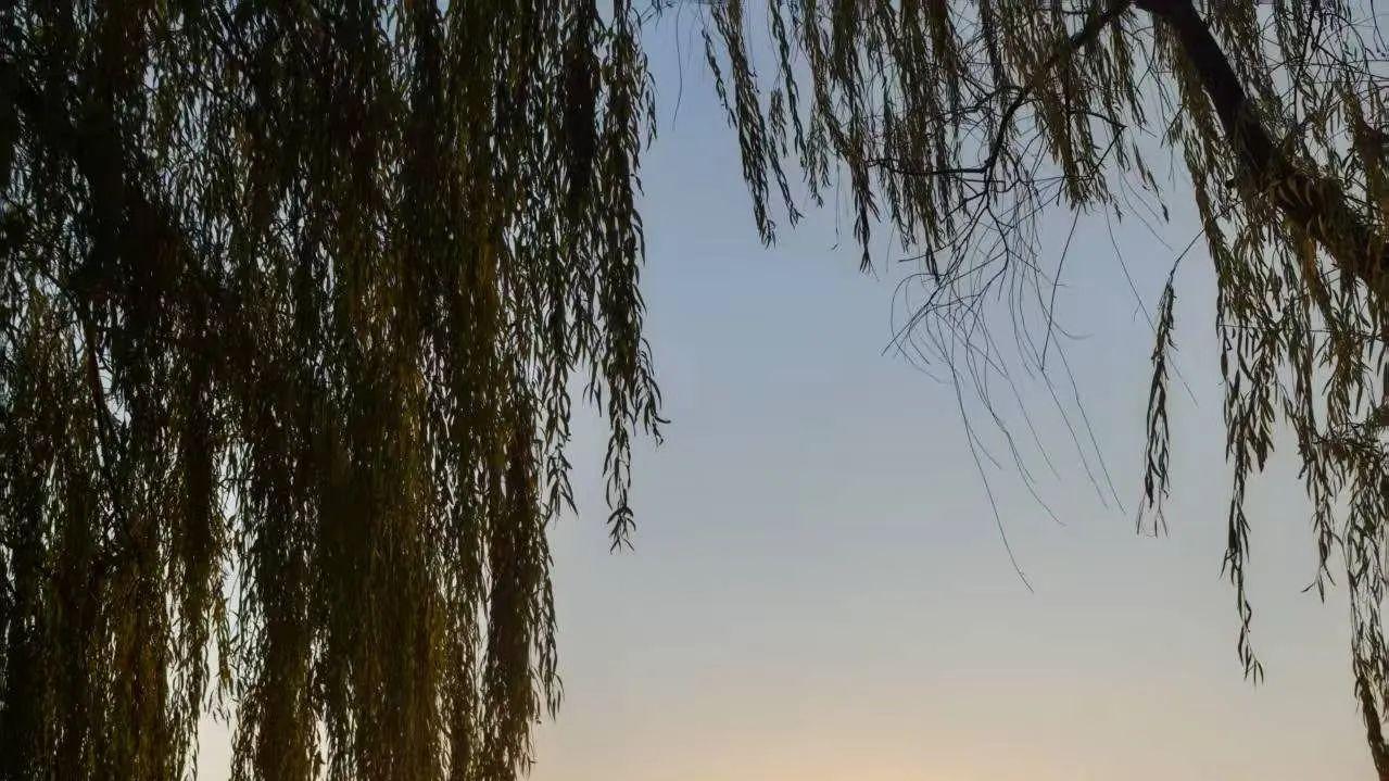 婆婆擅自卖掉旧房子,搬进我300万的婚房,声称我已经收2万的聘礼