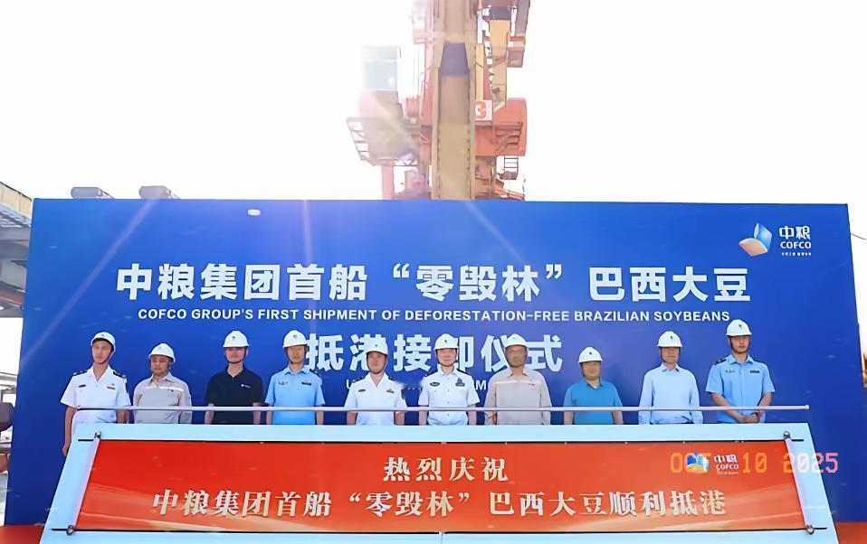 中国不买美国大豆，买巴西大豆立即就有教授出来高呼：中国对于大豆的需求，正在毁坏
