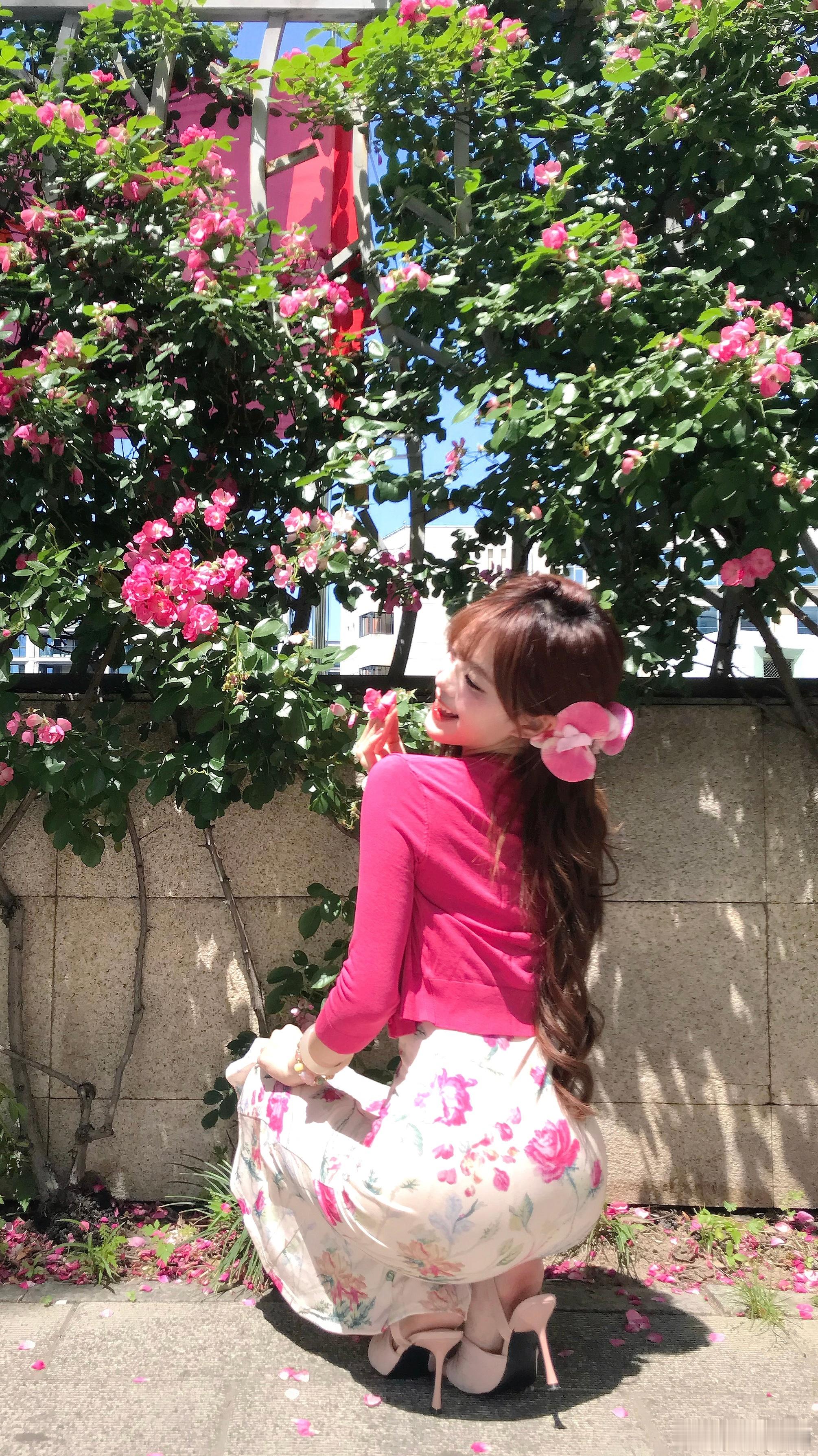 蔷薇花时隔一年我终于拍上你了🌺🕊️