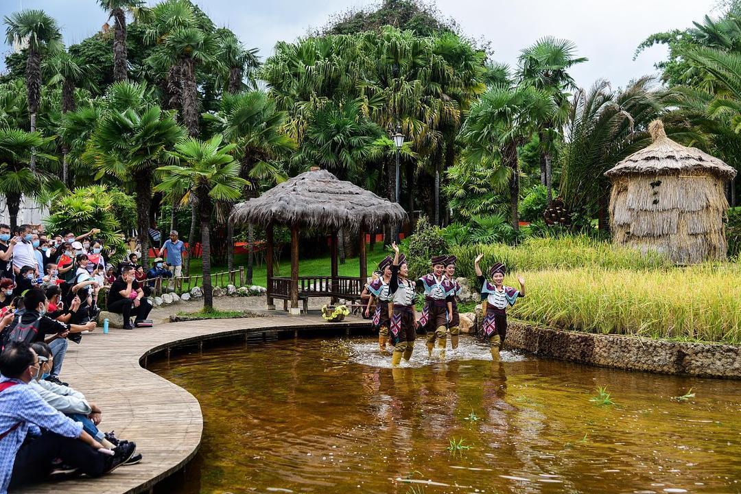 刚从西双版纳回来，憋了一肚子话不吐不快!这地方，我敢说去一次就够够的了，绝对没有